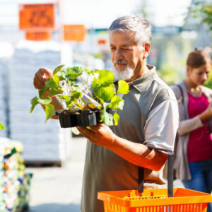 Love gardening? Here’s how you can start a garden in your backyard