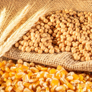 Rheumatoid arthritis – Foods to avoid